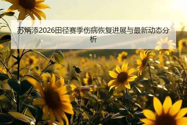 苏炳添2026田径赛季伤病恢复进展与最新动态分析